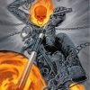Ghost Rider Fantasy Paint By Numbers