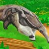 Giant Anteater Animal Paint By Numbers