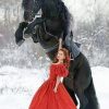Black Horse Winter Scene Paint By Numbers