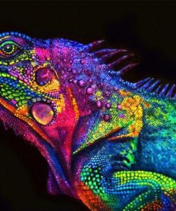 Chameleon Animals Paint By Numbers
