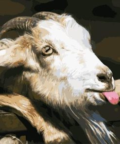 Goat Animals Paint By Numbers