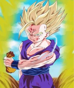 Gohan Anime Art Paint By Numbers