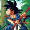 Goku Anime Paint By Numbers