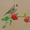 Goldfinch Finches Paint By Numbers