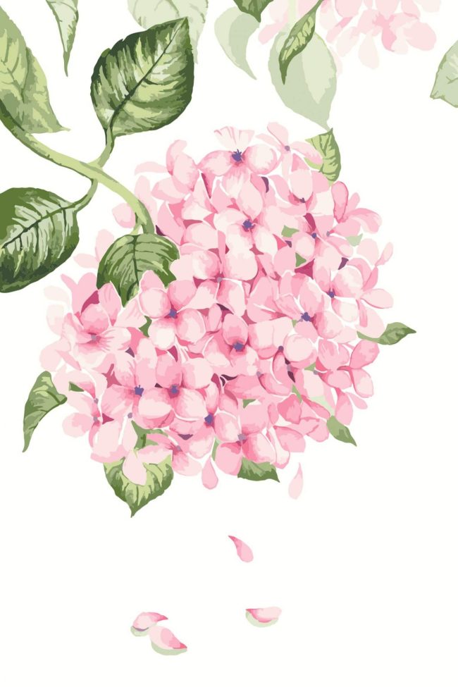 Gorgeous Pink Blooms Paint By Numbers