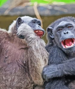 Gorilla and Chimpanzee Animal Paint By Numbers