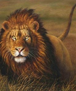 Majestic Lion Animals Paint By Numbers