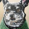 Gray Chihuahua Dog Paint By Numbers