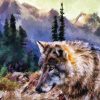 Gray Wolf Animal Paint By Numbers