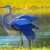 Great Blue Heron Wildlife Paint By Numbers