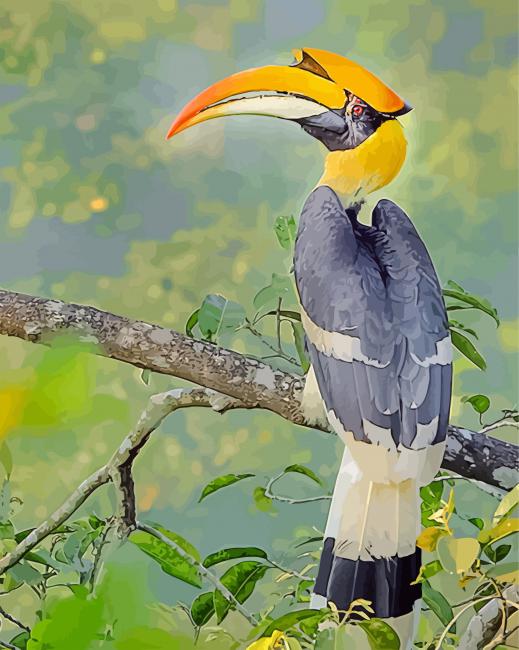finalizing your Great Hornbill artwork