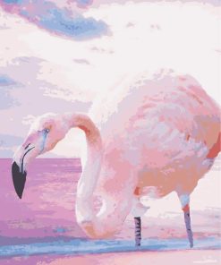 Greater Flamingo Birds Paint By Numbers