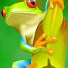 Green Frog Animal Paint By Numbers