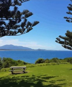 Green Grassland Nature Paint By Numbers