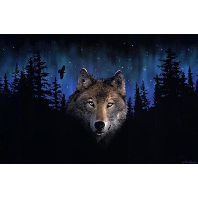 Grey Wolf Wildlife Paint By Numbers