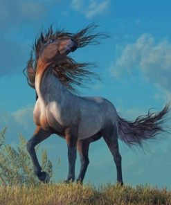 Grey Arabian Stallion Paint By Numbers
