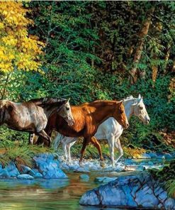 Horses River Scene Paint By Numbers