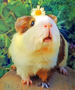 Guinea Pig with Daisy Paint By Numbers