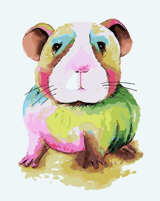 Colorful Guinea Pig Animals Paint By Numbers