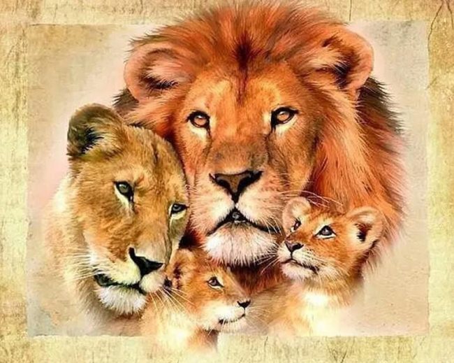 Majestic Lion Animals Paint By Numbers