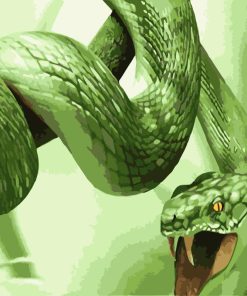 King Cobra Wildlife Paint By Numbers