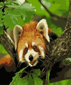 Red Panda Animal Paint By Numbers
