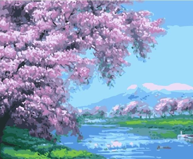 Cherry Blossom River Landscape Paint By Numbers