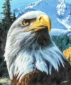 Eagle in Nature Paint By Numbers