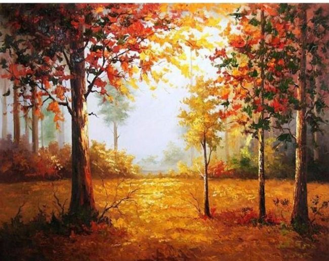 Autumn Forest Sunrise Paint By Numbers