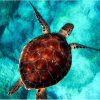 Turtle Ocean Creatures Paint By Numbers