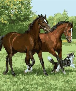 Two Stallions and Dog Paint By Numbers