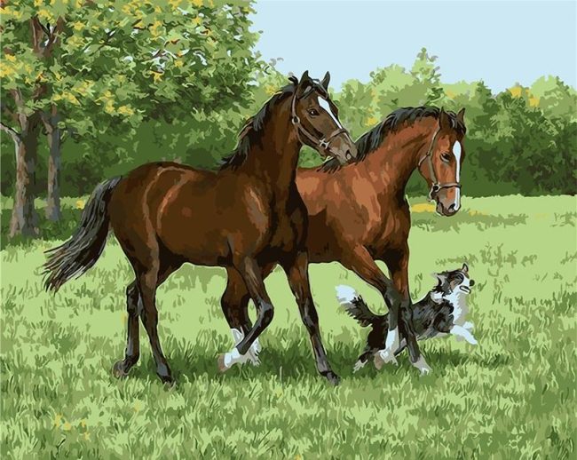 Two Stallions and Dog Paint By Numbers