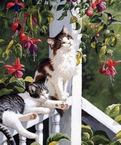 Cats Resting Animals Paint By Numbers