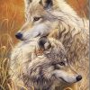 White Wolf Animal Paint By Numbers