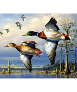 Majestic Flying Mallard Ducks Paint By Numbers
