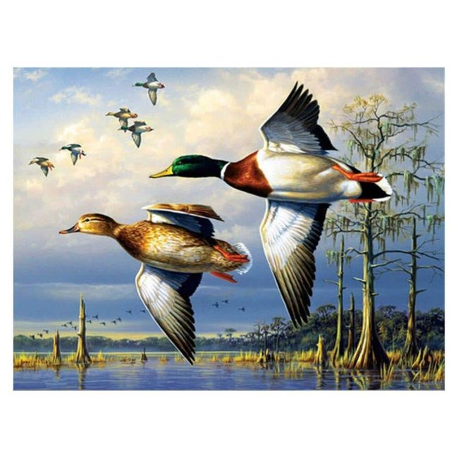 Majestic Flying Mallard Ducks Paint By Numbers