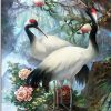 Red Crowned Crane Birds Paint By Numbers