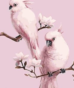 Pink Parrot Birds Paint By Numbers