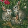 Grey Rabbit Animals Paint By Numbers