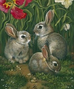 Grey Rabbit Animals Paint By Numbers