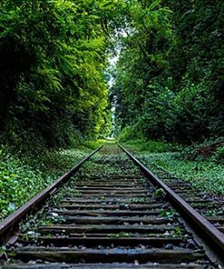 Scenic Forest Railway Paint By Numbers