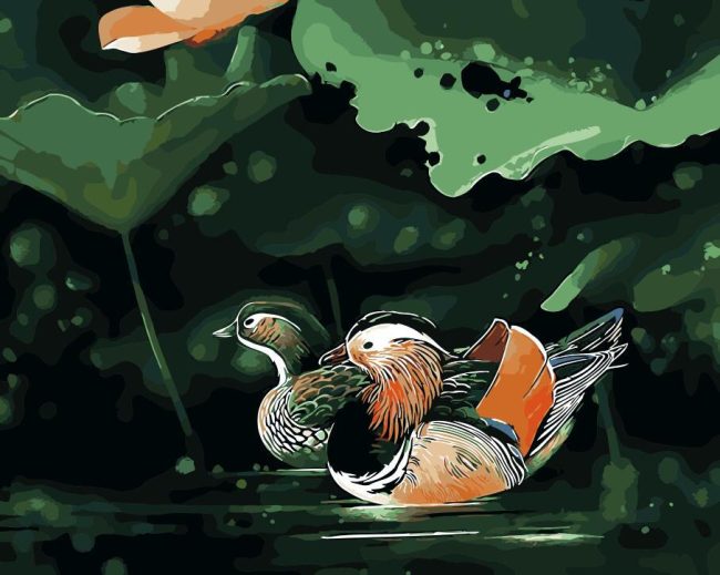 Swimming Mandarin Duck Paint By Numbers