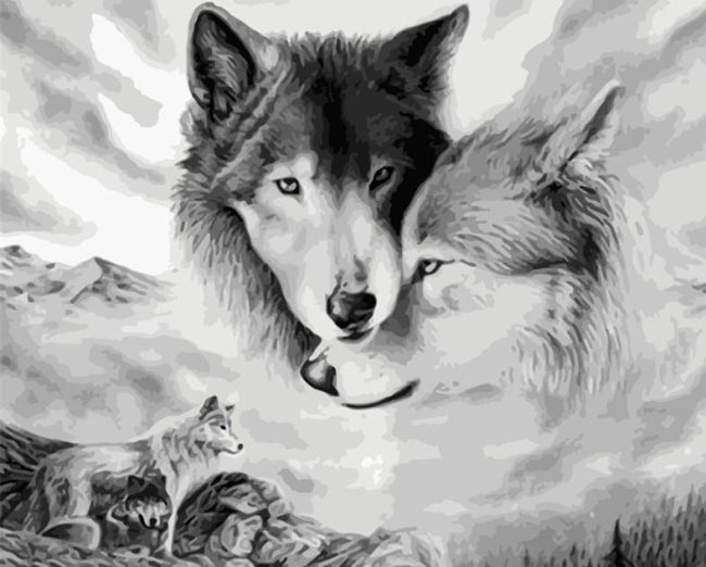 Wolves in Black and White Paint By Numbers