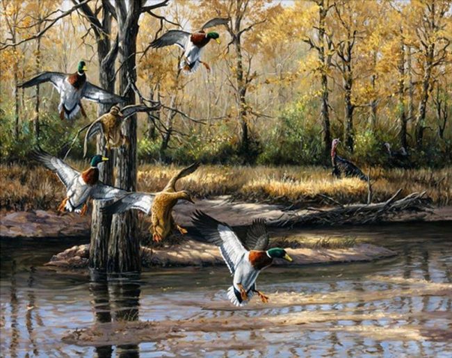 Wild Ducks Modern Art Paint By Numbers