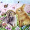 Lovers Rabbit Animal Art Paint By Numbers