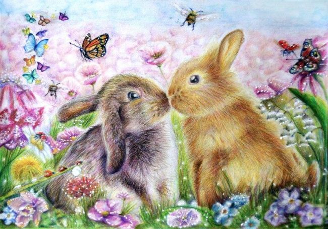 Lovers Rabbit Animal Art Paint By Numbers