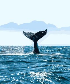 Whale Tail Ocean Wave Paint By Numbers