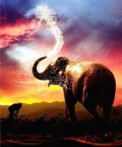 Elephant Sunset Wildlife Paint By Numbers