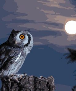 Scary Owl Moon Birds Paint By Numbers
