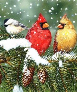 Winter Birds Painting Kit Paint By Numbers